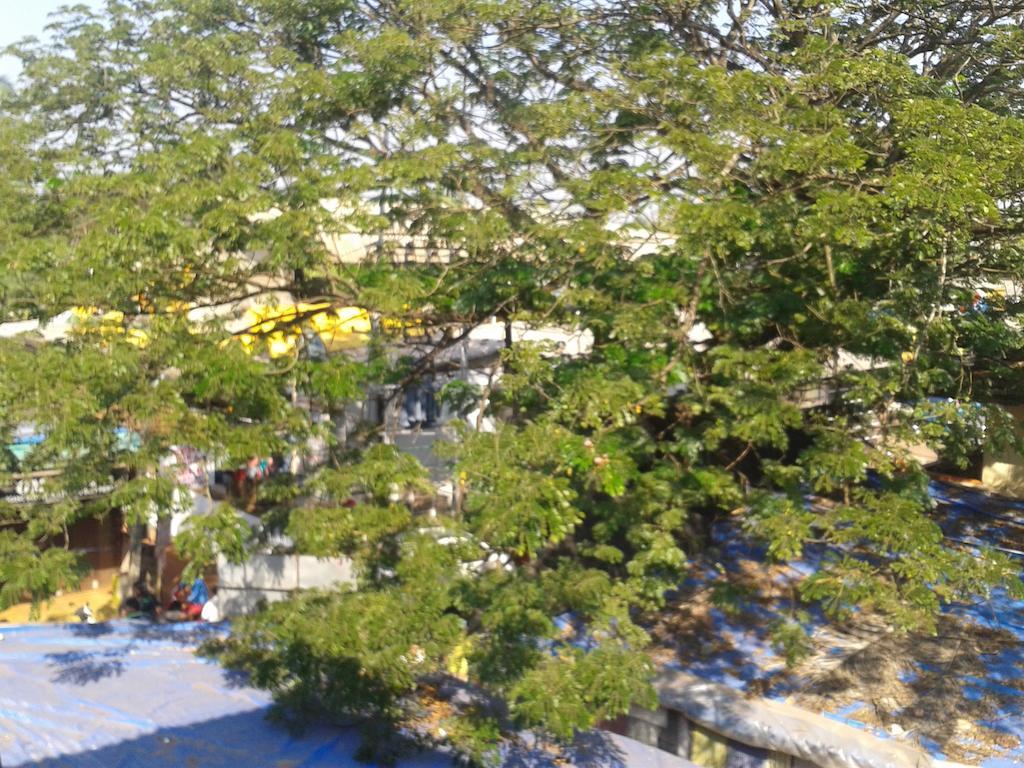 Ancora Beach Resort Baga Luaran gambar